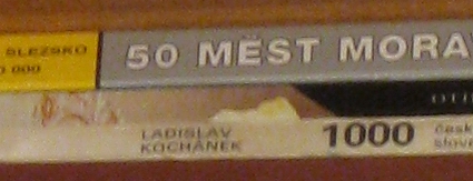 Canon PowerShot A1000 IS: ve stínu předchůdce