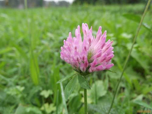 Starý vs. nový aneb megapixely k ničemu?