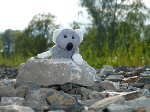 Fotíme s Koalou: Blesk