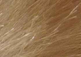 Panasonic Lumix G3: menší a lehčí, je i lepší?