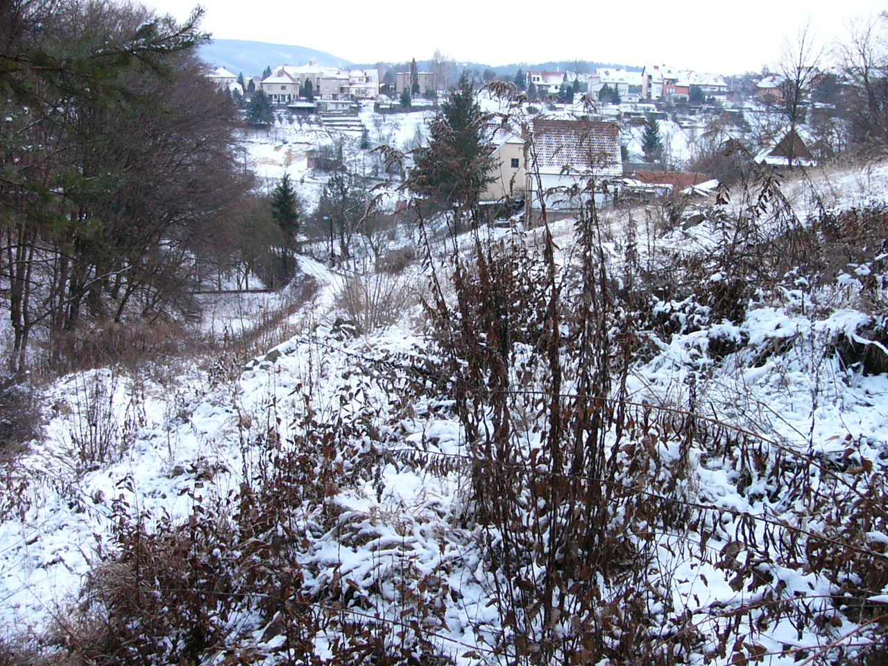 Panasonic Lumix DMC-FZ2: Dvoumegové EVFko s excelentní optikou