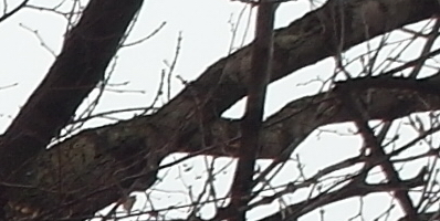 Samsung EX2F: významný krok vpřed