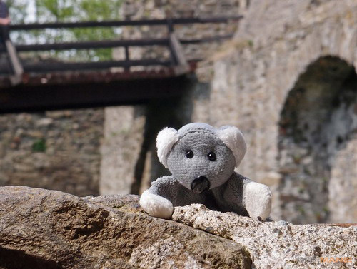 Fotíme s Koalou: Korekce expozice