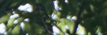 Sony E PZ 18-105mm F4 G OSS (SELP18105G)