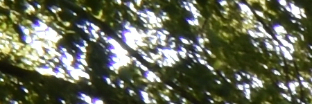 Tamron SP AF 10-24mm F3.5-4.5 Di II LD Aspherical IF