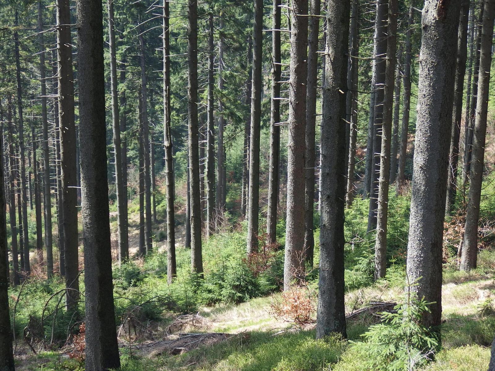 Olympus Stylus XZ-10: to nejlepší z 1/2,3"