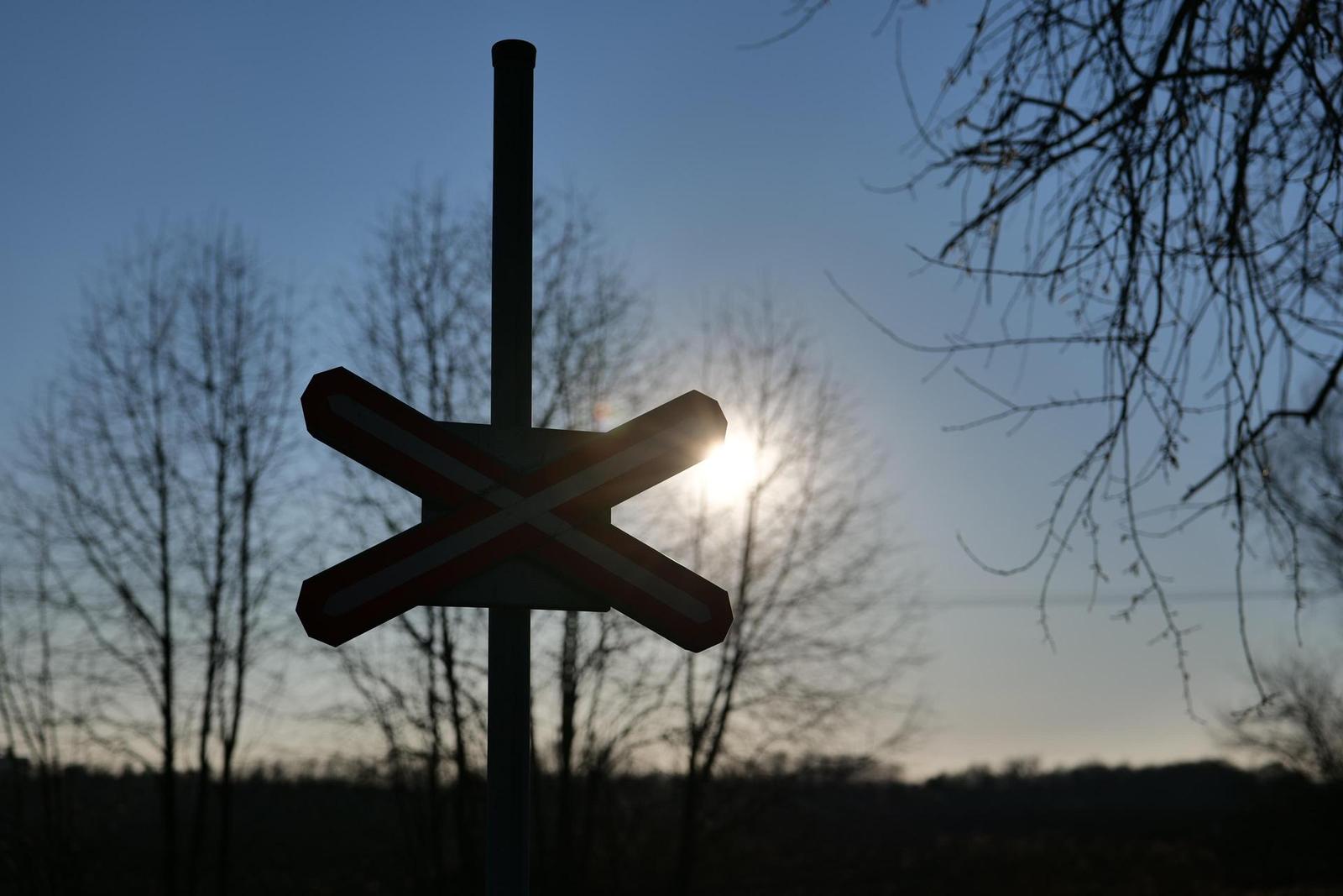 Panasonic Lumix S 50mm F1.8