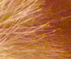 Pentax X70: neobyčejně univerzální kliďas