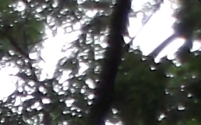 Fujifilm FinePix T200: nejlevnější ultrazoom Fuji