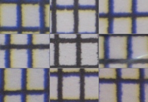 Nikon AF-P DX Nikkor 70-300 mm f/4,5-6,3G ED VR