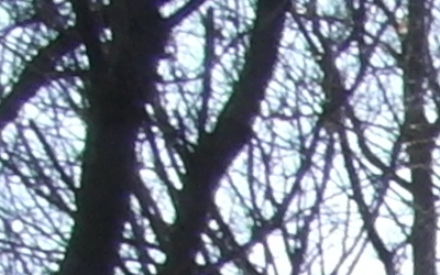 Samsung 16mm F2.4 pancake