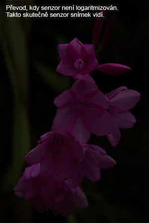 Vše o formátu RAW – 5. díl