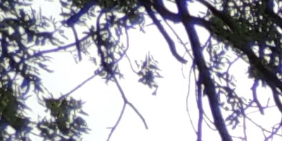 Nikon Coolpix P510: lovec rekordů