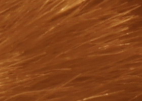 Sony Alpha SLT-A35: úspěšně proti zrcadlovkám