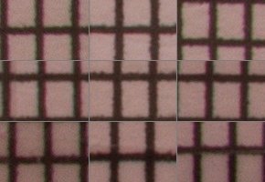 Canon EF-S 18-55mm F3,5-5,6 IS STM