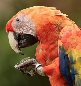 Přehled zajímavostí za 51. týden 2006