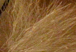 Nikon Coolpix A: velmi příjemná (ne)výraznost