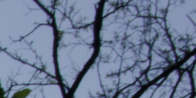 Nikon Coolpix A: velmi příjemná (ne)výraznost