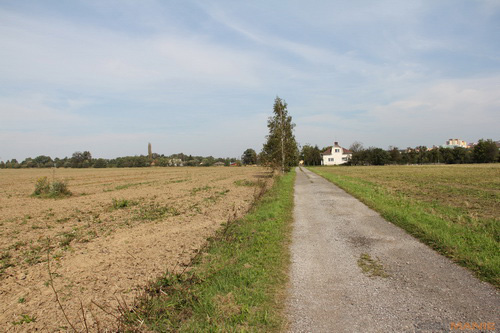 Canon EOS 550D: třídní premiant