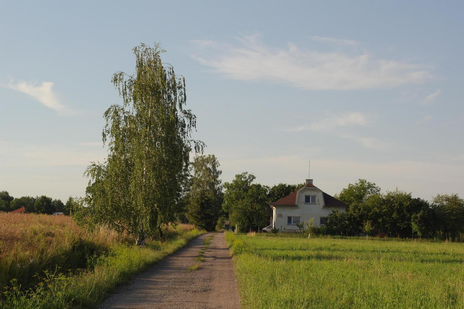 Minolta MC Rokkor-PF 50mm F1.7 (MC/MD)