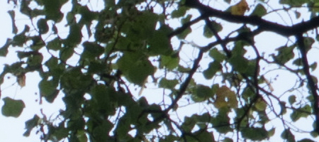 Samsung 16-50mm 1:3.5-5.6 ED OIS Power Zoom