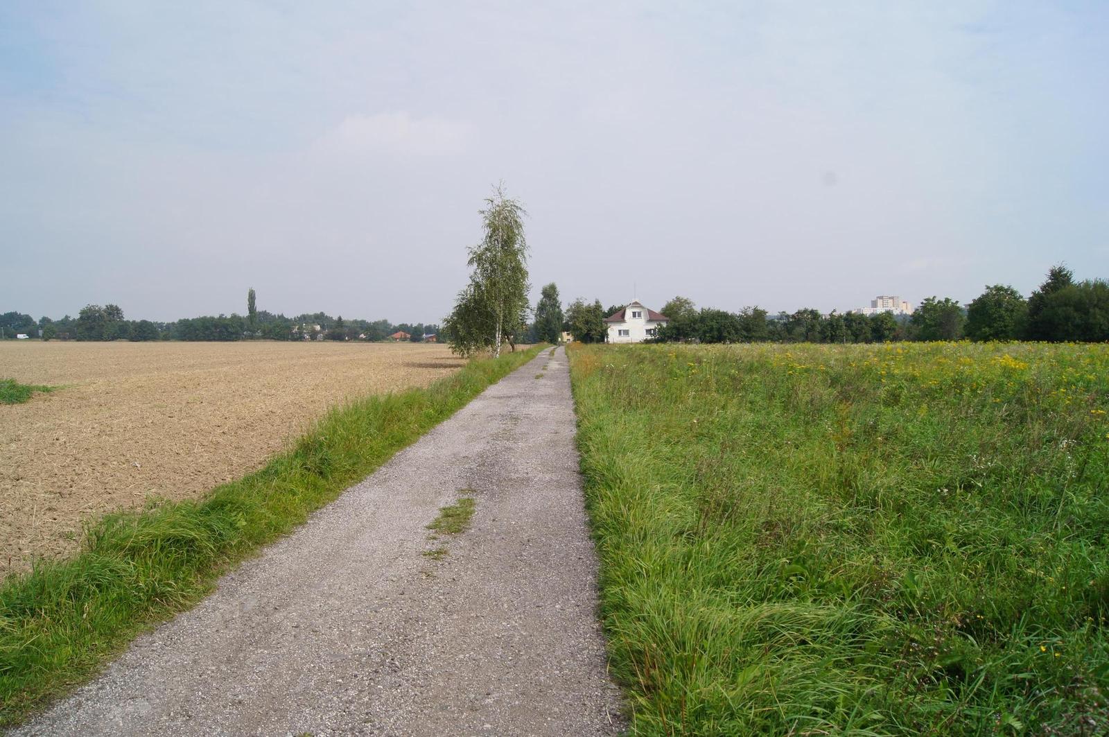 Sony Alpha SLT-A35: úspěšně proti zrcadlovkám