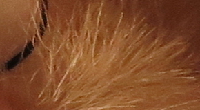 Canon PowerShot G1 X Mark II: významné zlepšení