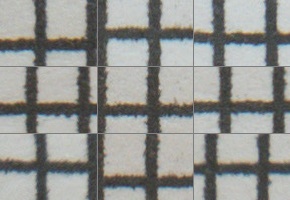 Panasonic Leica DG Elmarit 200mm / F2.8 / Power O.I.S.