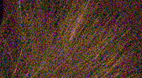 Nikon D3300: drobek se silným srdcem