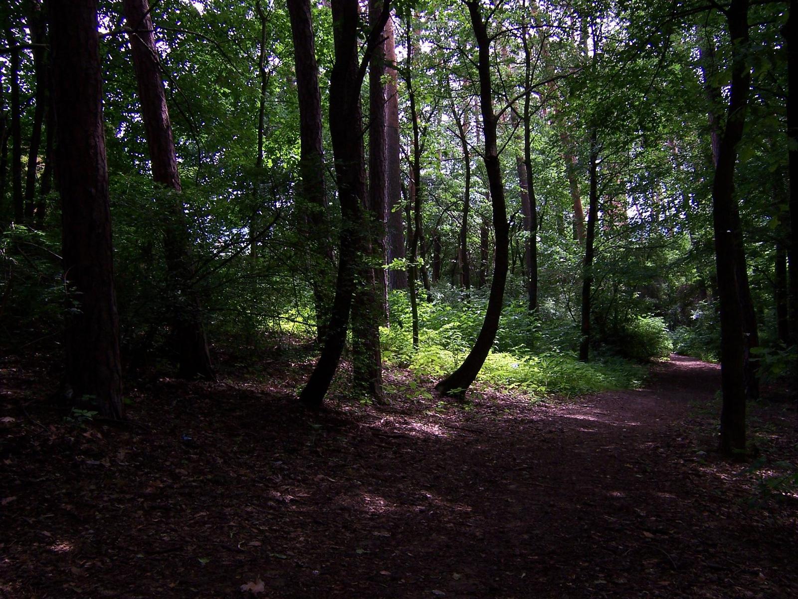 Kodak EasyShare DX7440: Elegantní a šikovný