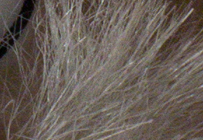 Sony SLT-A58: silný základ