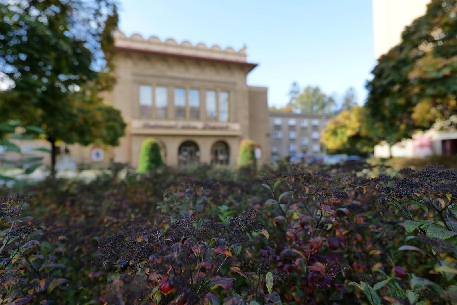 Panasonic Lumix S 18mm F1.8