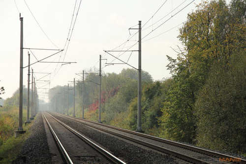 Canon EOS 550D: třídní premiant