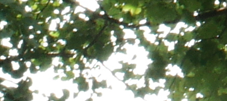 Olympus OM Zuiko 28mm f/2.8 (OM)