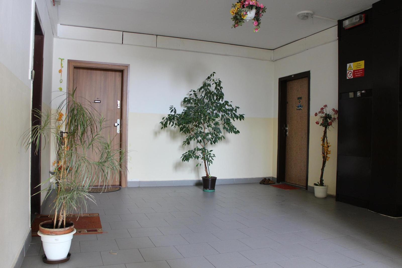 Canon EOS M: první pokus