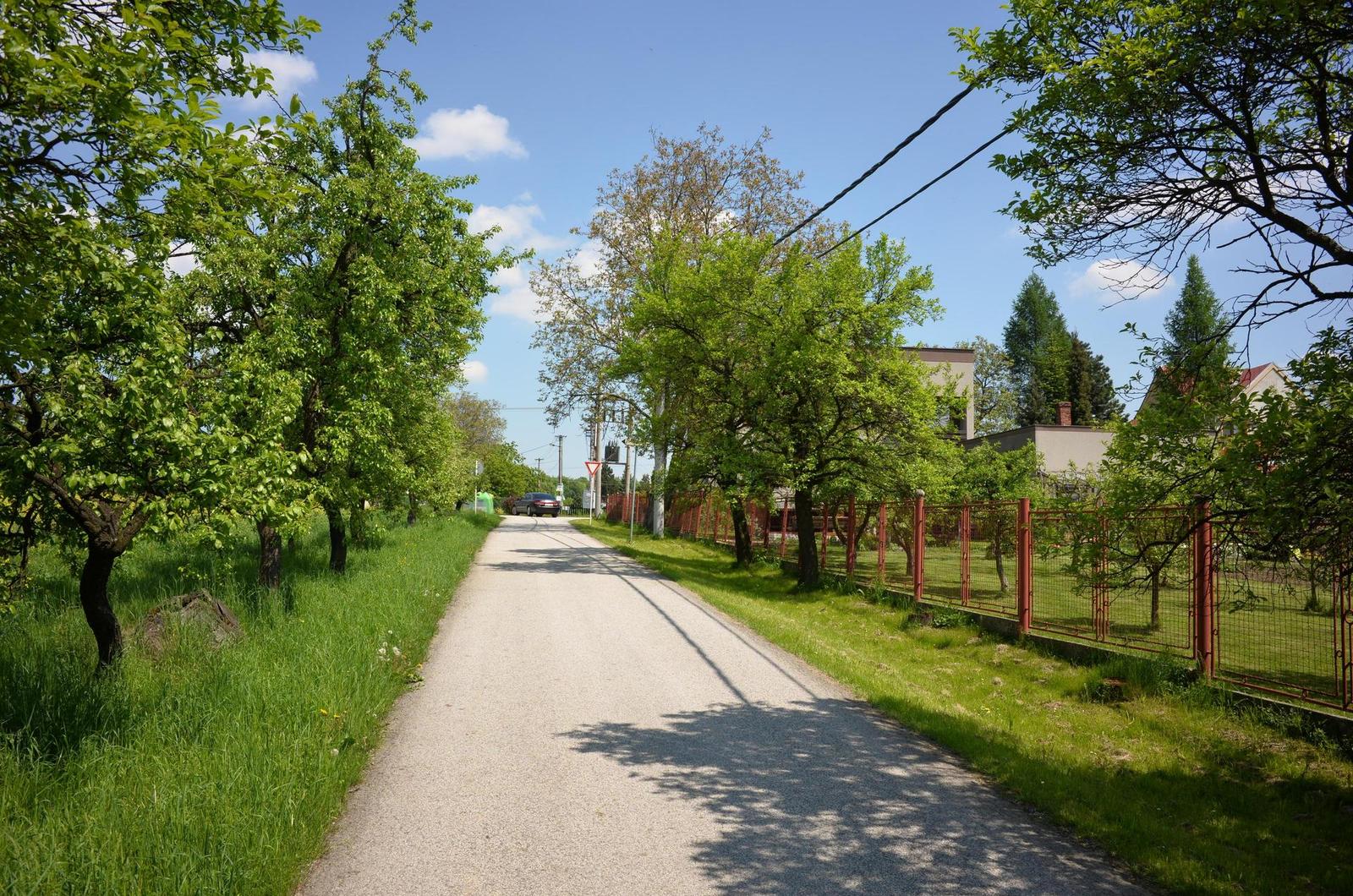 Nikon Coolpix A: velmi příjemná (ne)výraznost