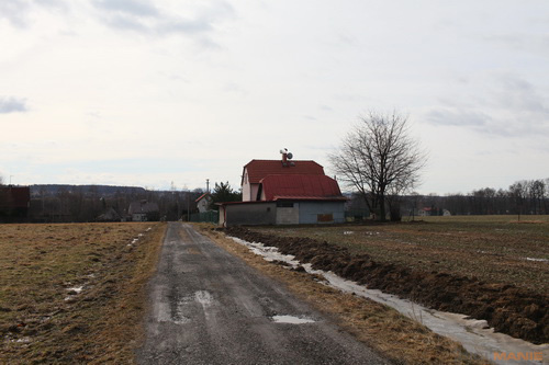 Canon EF 35mm f/1.4L USM