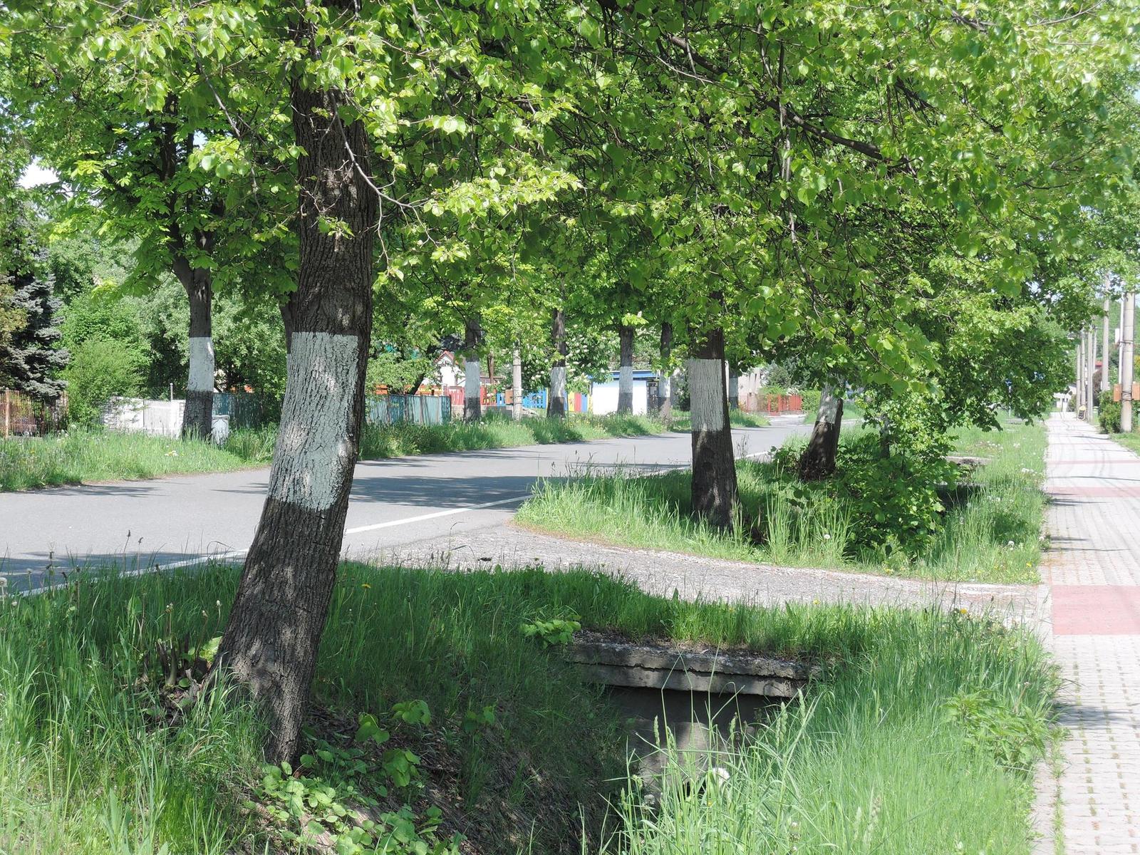 Nikon Coolpix P330: do vyšších sfér