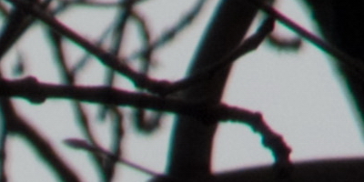 Fujifilm X-S1: jedinečný