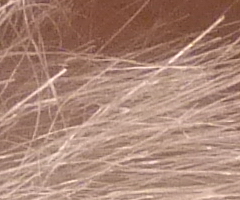 Panasonic Lumix FZ45 a FZ100: na vrcholu