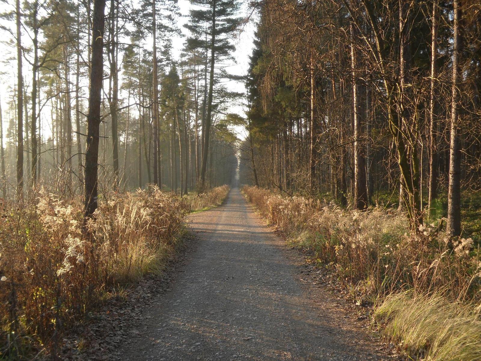 Samsung ST1000: nabitý technologiemi