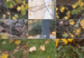 Panasonic Leica DG Vario-Elmarit 12-35mm / F2.8 ASPH. / Power O.I.S