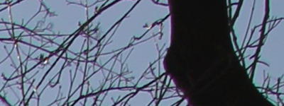 Megatest ultrazoomových objektivů