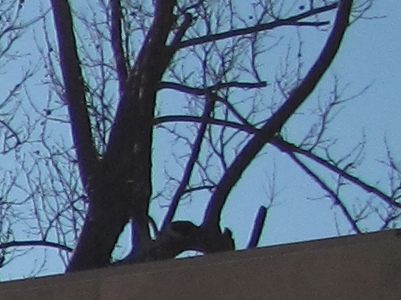 Canon PowerShot G10: stále mezi nejlepšími