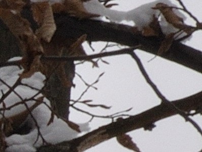 Dva objektivy nebo jeden ultrazoom?