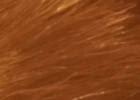 Sony Alpha SLT-A35: úspěšně proti zrcadlovkám