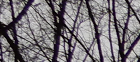 Nikon Coolpix A900: 4K do kapsy