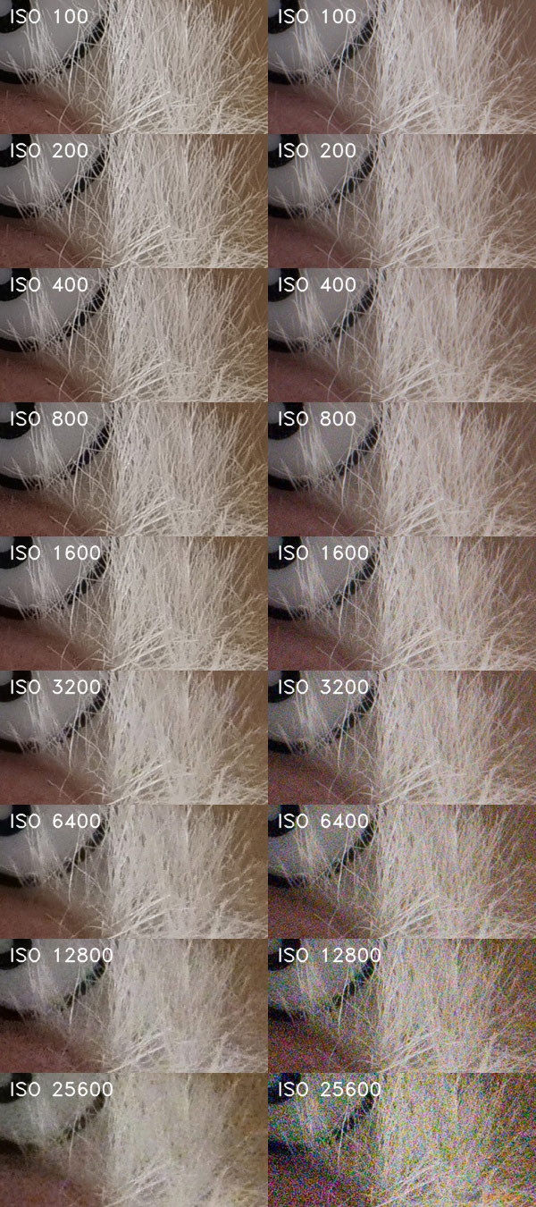 Panasonic Lumix GH5: video-profesionál