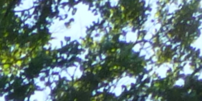 Panasonic Lumix TZ30: pokračovatel slavného rodu?