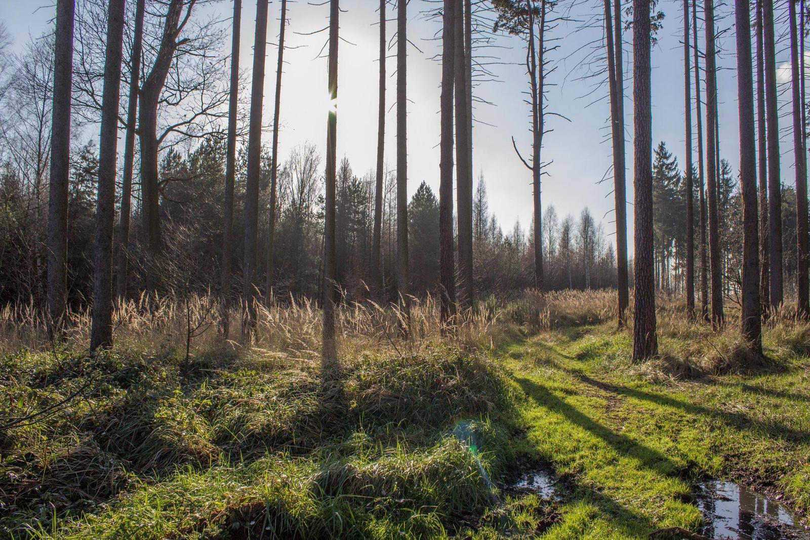 DSLR vs kompakt: Canon EOS 1200D s 18-55mm, Sony RX100